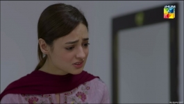 Sultanat - Episode 25 - 31st May 2024